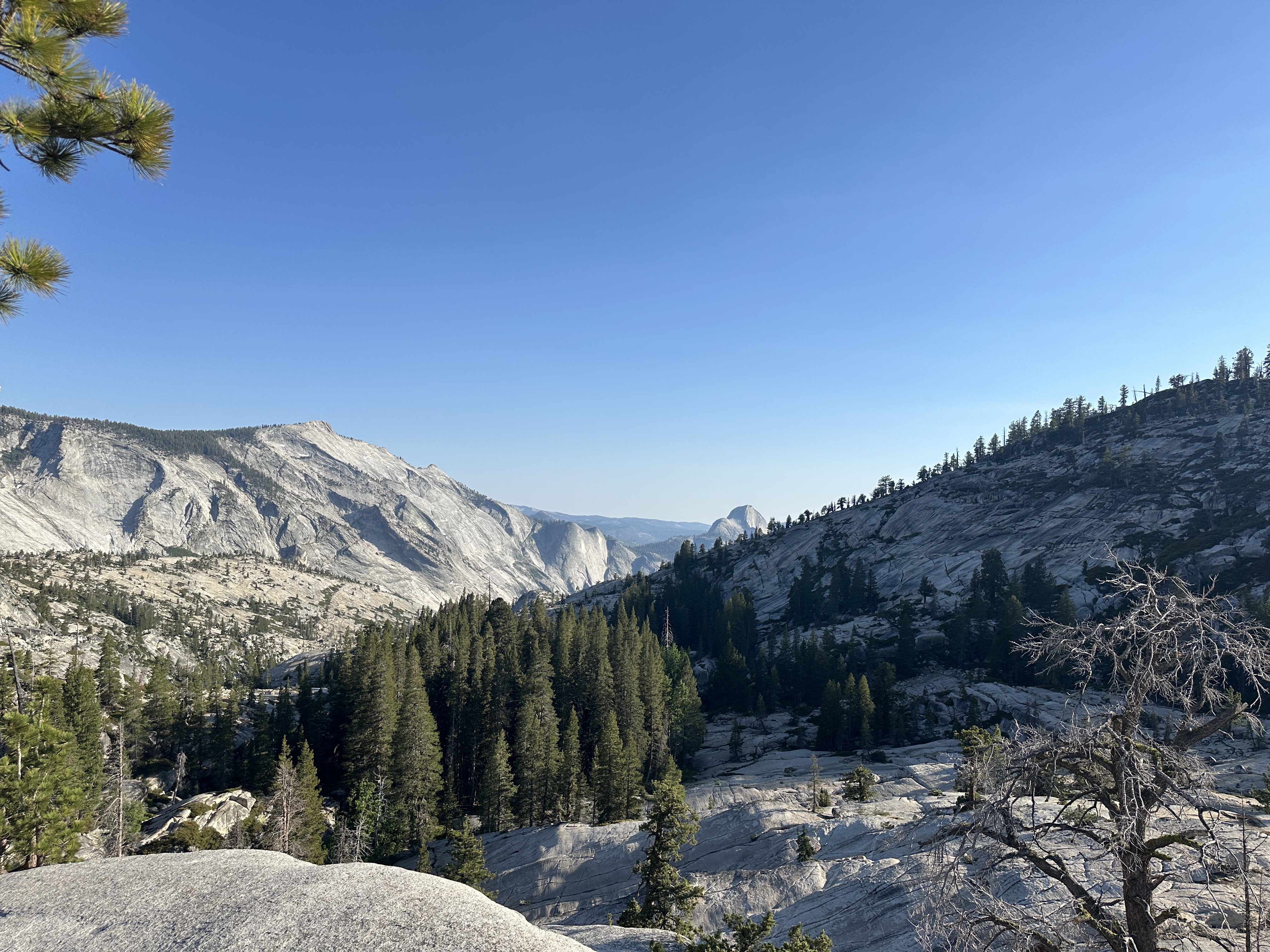 2025 gallery photo 6